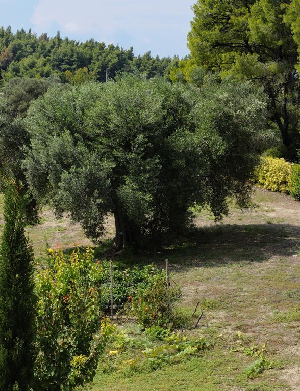 Exclusive Villa in Sani Area Camera foto